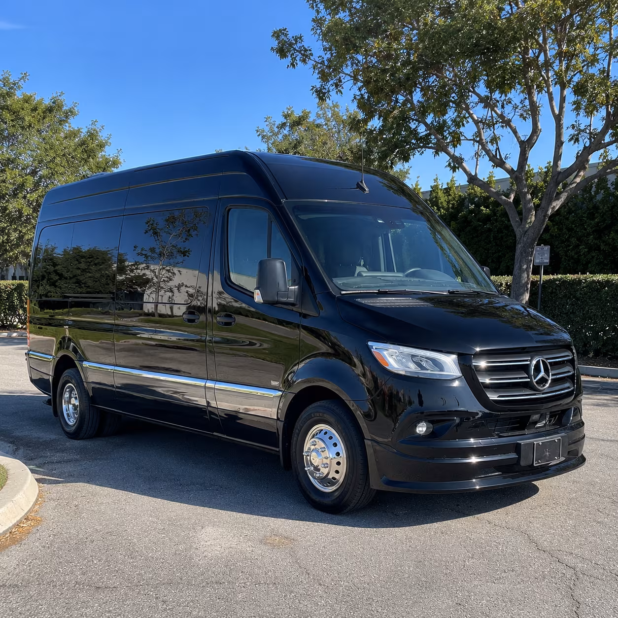 8 passenger sprinter van