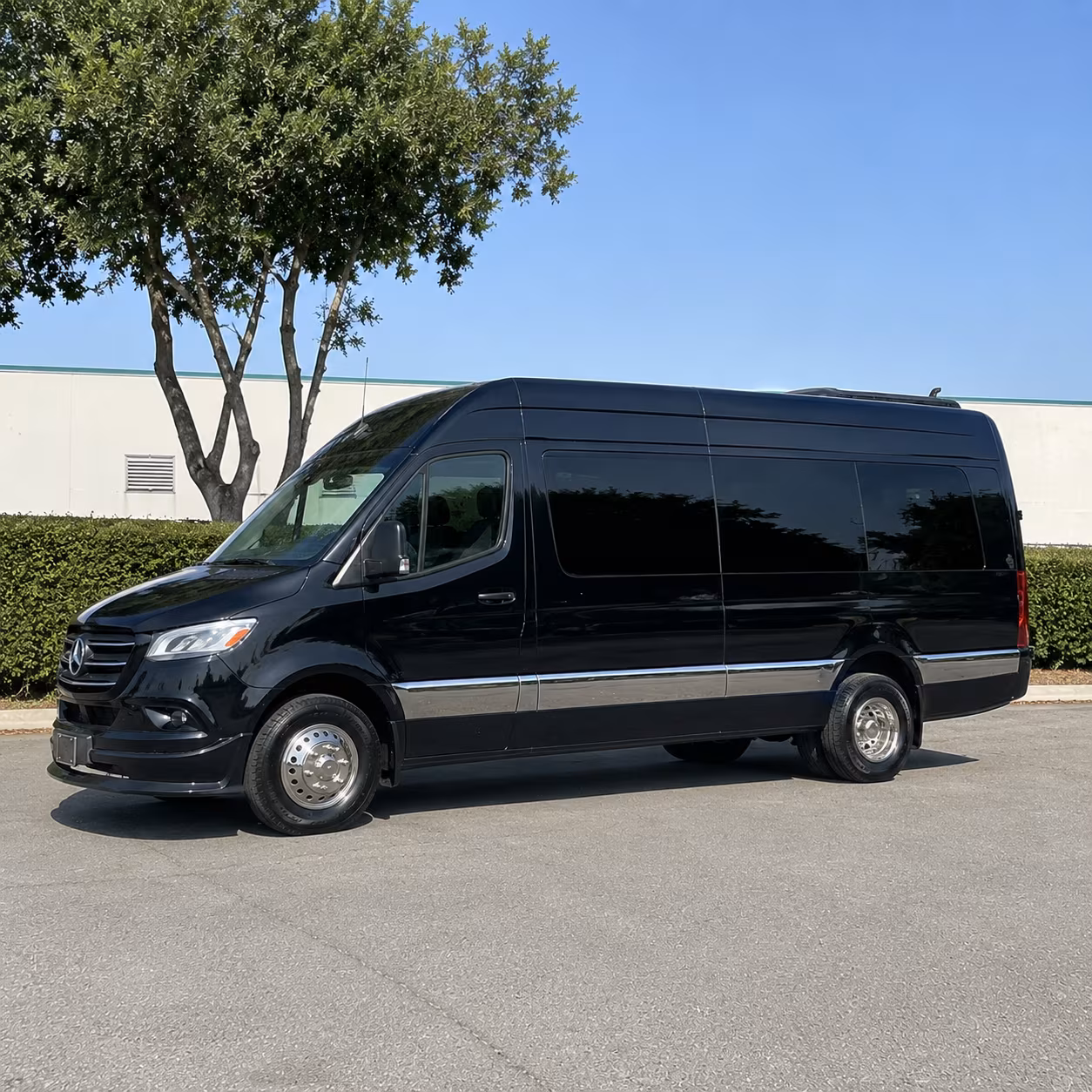 hampton 15 passenger sprinter van